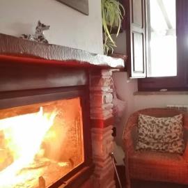 1212_21102025173739403