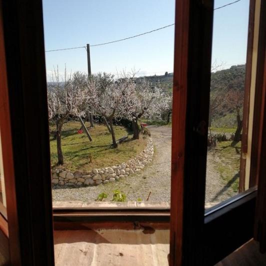 Image No.24-2 Bed Country House for sale