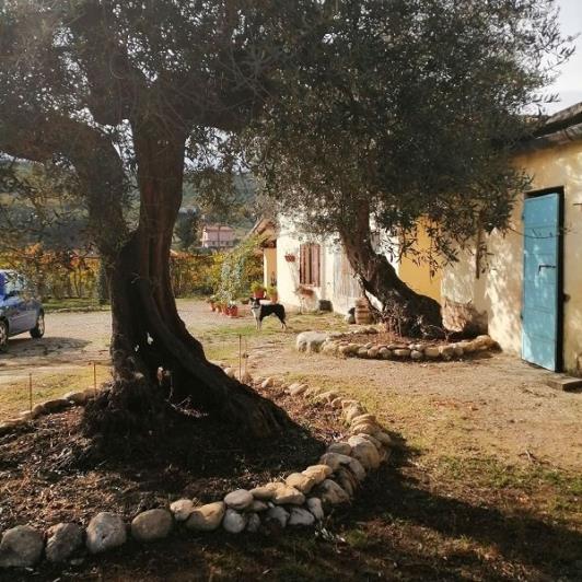 Image No.28-2 Bed Country House for sale