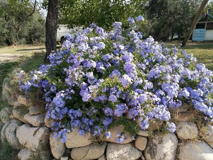 Image No.29-2 Bed Country House for sale