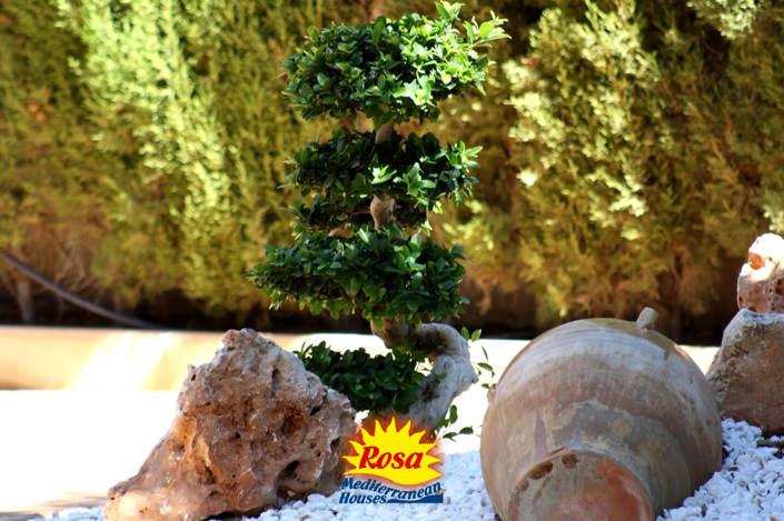 Image No.5-3 Bed Villa for sale