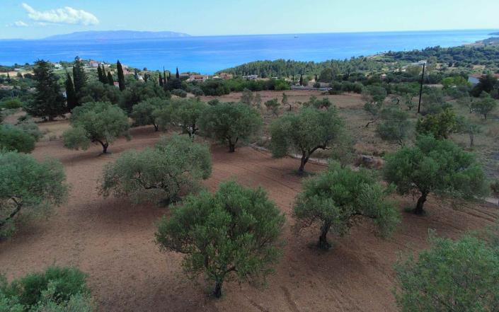 Image No.6-3 Bed Land for sale