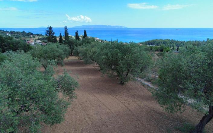 Image No.2-3 Bed Land for sale