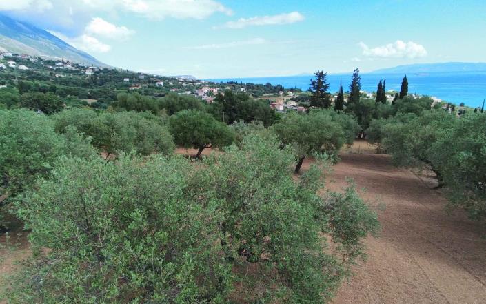 Image No.5-3 Bed Land for sale