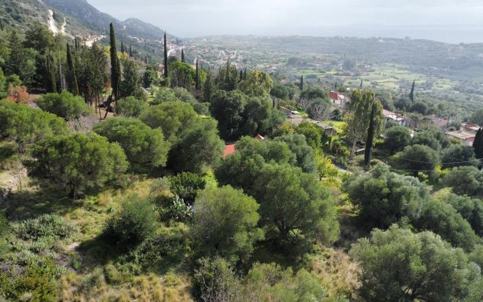 Image No.2-Plot for sale