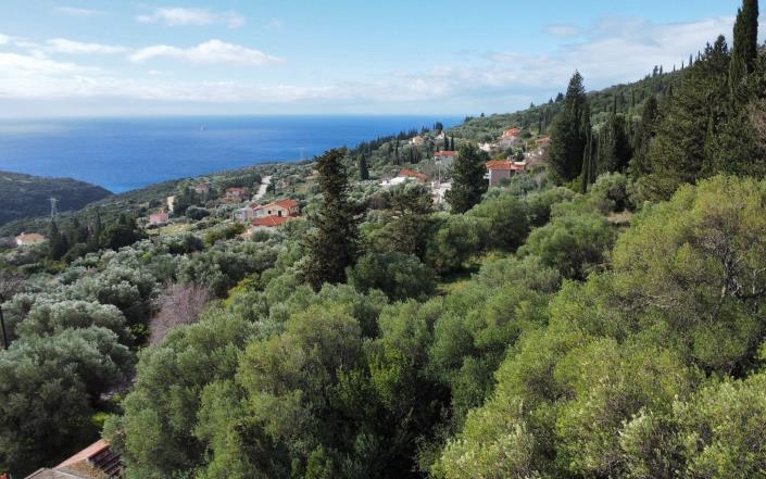 Image No.3-Plot for sale