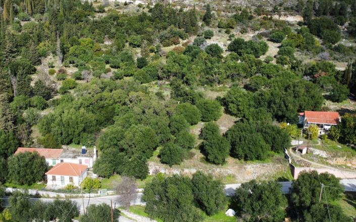 Image No.8-Plot for sale