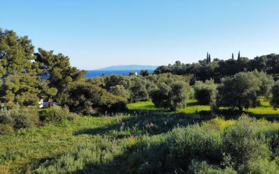 Livathos-Amazing-Sea-Views-Plot-12