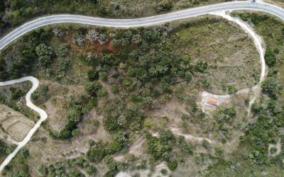 Agonas-Olive-Grove-with-Sea-Views-For-Sale-6