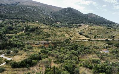 Agonas-Olive-Grove-with-Sea-Views-For-Sale-9