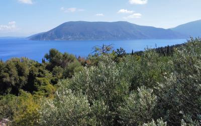 Tselendata-Renovation-Project-For-Sale-5