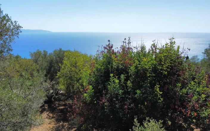 Image No.10-3 Bed Villa for sale