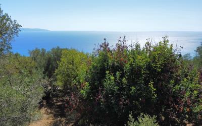 Vlachata-Spectacular-OFF-PLAN-Villa-10