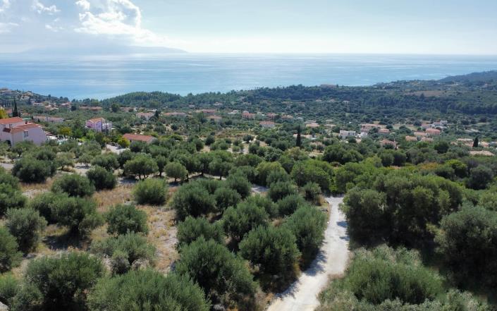 Image No.11-Plot for sale