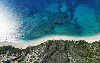 Platies-Amazing-Panoramic-Plot-2