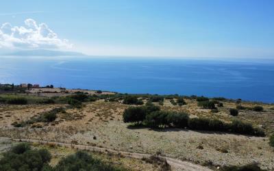 Platies-Amazing-Panoramic-Plot-8