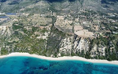 Platies-Amazing-Panoramic-Plot-12