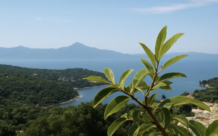 Image No.4-Plot for sale