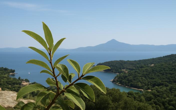 Image No.3-Plot for sale