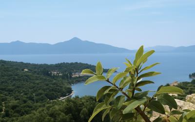 Meganisi-Exquisite-Plot-For-Sale-4