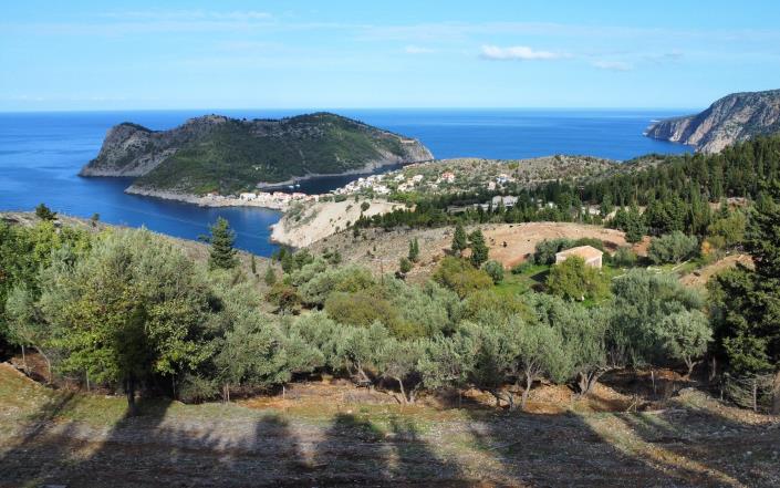 Image No.4-Plot for sale