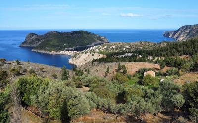 Asos-Panoramic-Views-Plot-4