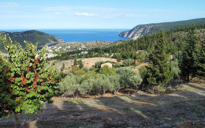 Image No.6-Plot for sale