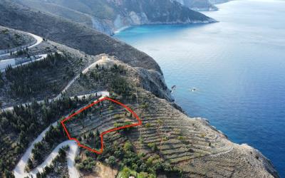 Asos-Panoramic-Views-Plot-12