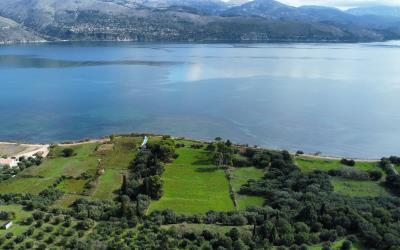 Lixouri-Sea-Front-Plot-8