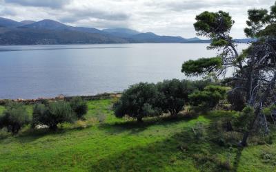 Lixouri-Sea-Front-Plot-12