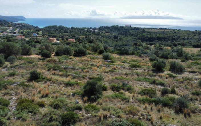 Image No.2-Plot for sale