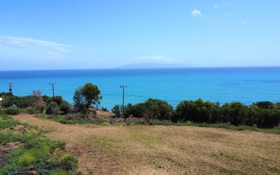 Pessada-Amazing-Coastal-Plot-9