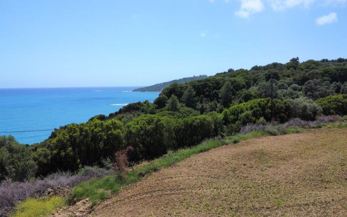 Image No.12-Plot for sale