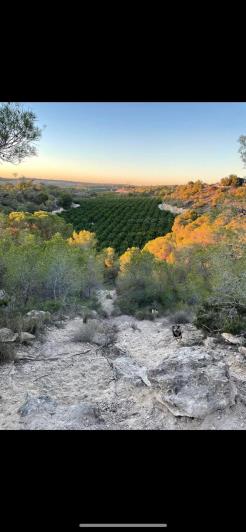 Image No.4-3 Bed Villa / Detached for sale