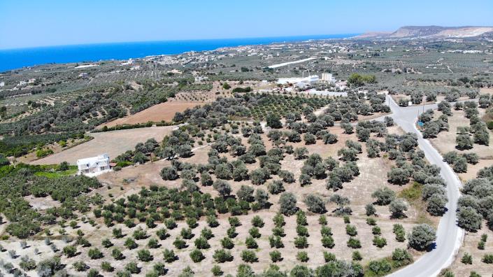 Image No.2-Plot for sale