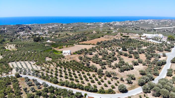 Image No.3-Plot for sale