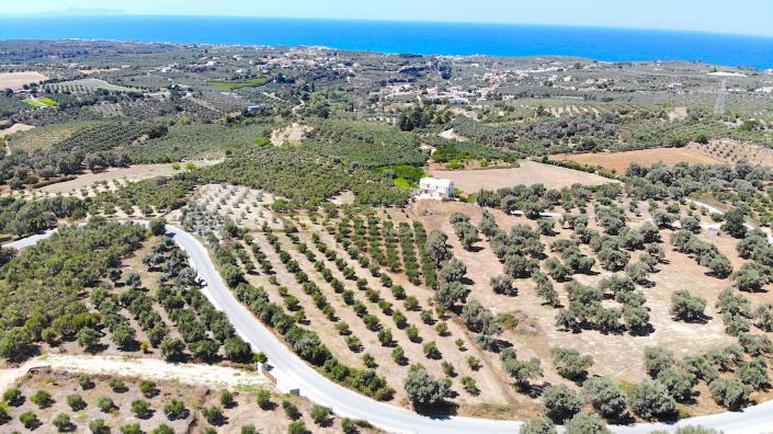 Image No.4-Plot for sale