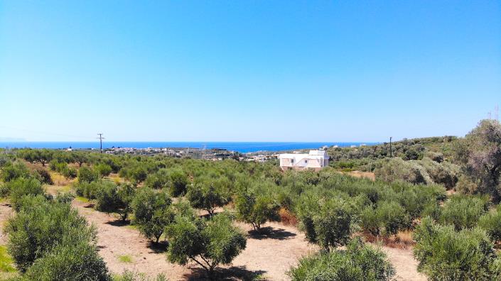 Image No.11-Plot for sale