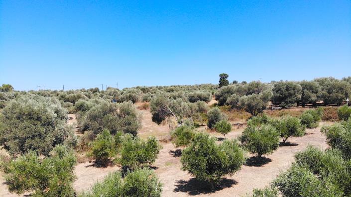 Image No.13-Plot for sale