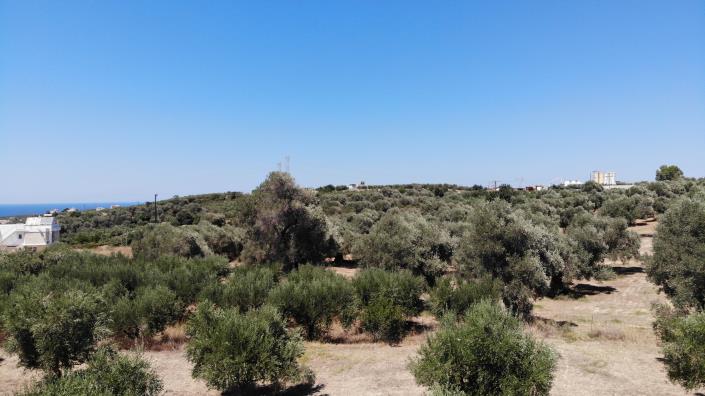 Image No.12-Plot for sale