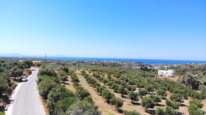 Image No.16-Plot for sale