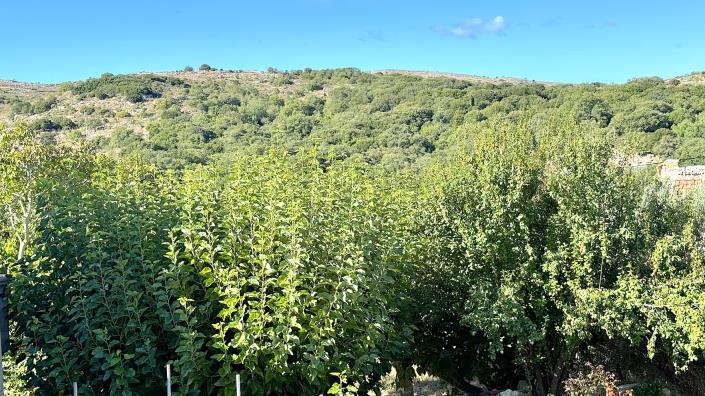 Image No.12-3 Bed Village House for sale