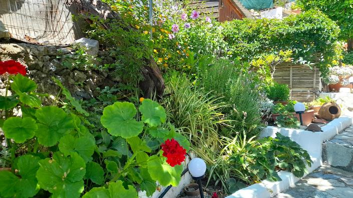 Image No.8-1 Bed Village House for sale