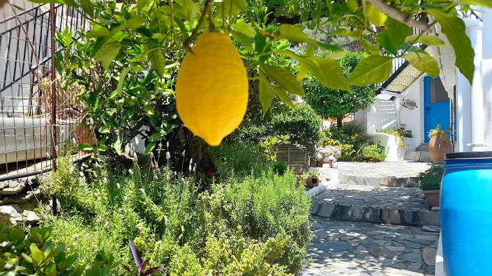 Image No.11-1 Bed Village House for sale