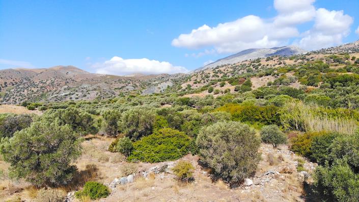 Image No.9-Land for sale