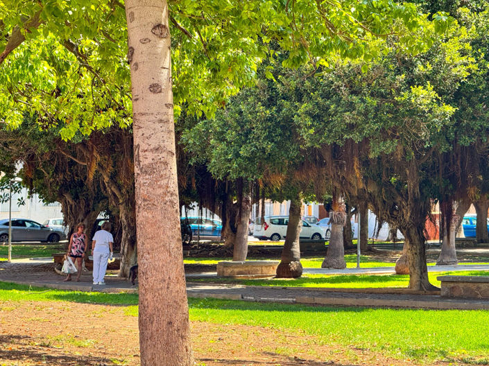 Image No.28-2 Bed Apartment for sale