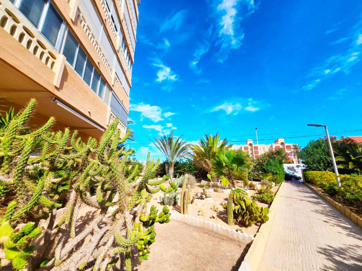 Image No.22-1 Bed Apartment for sale