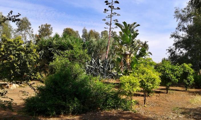 Image No.7-3 Bed Villa / Detached for sale