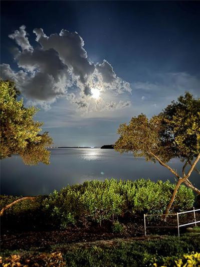 Image No.58-2 Bed Property for sale