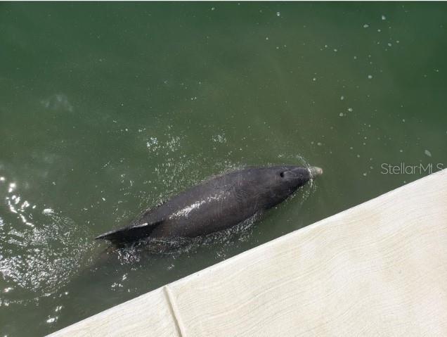 Image No.47-1 Bed Property for sale